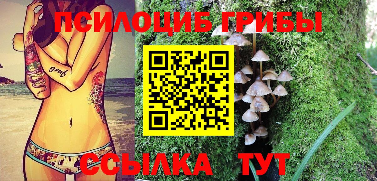 Псилоцибиновые грибы Magic Shrooms  Псилоцибиновые грибы Psilocybine cubensis  Вход с VPN  Тимашёвск 