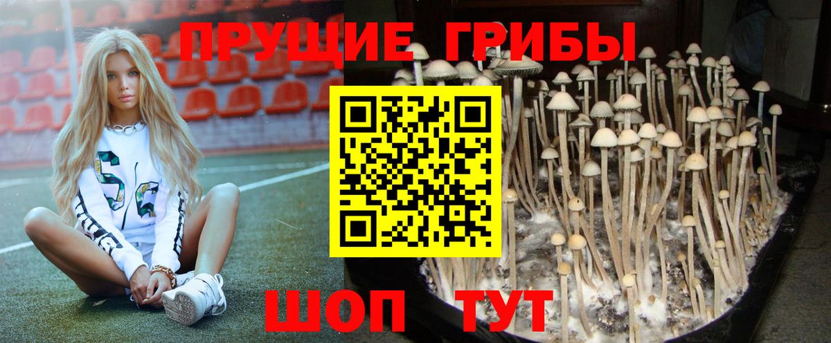 Псилоцибиновые грибы Magic Shrooms Тимашёвск